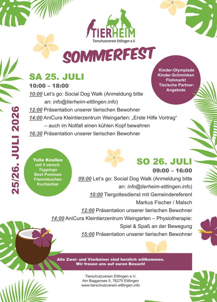 Zu sehen ist das Plakat für's Sommerfest 2026