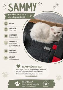 Zu sehen ist der wei&szlig;e langhaar-Kater Sammy